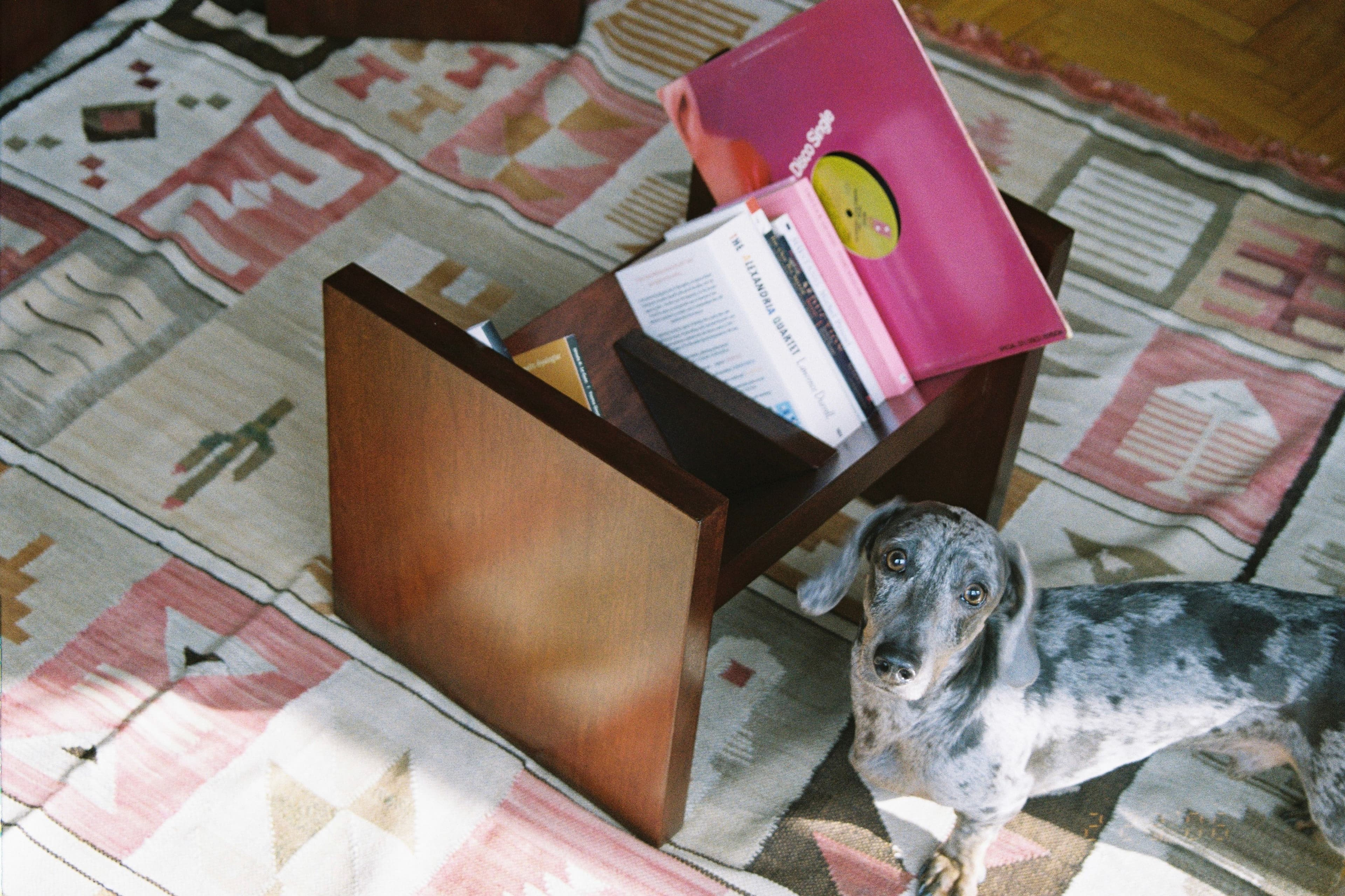 Storage as Part of Living Space, Not Hidden Function